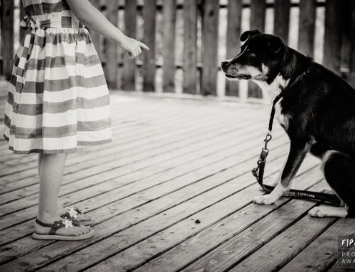 Andi gewinnt 6 Awards